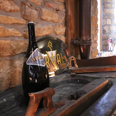 Гостевой дом La Vieille Ferme Chassepierre